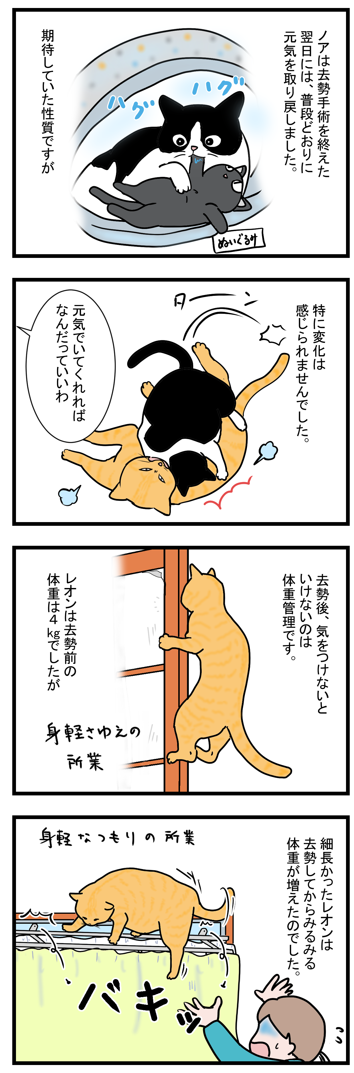 ノアレオン41-1