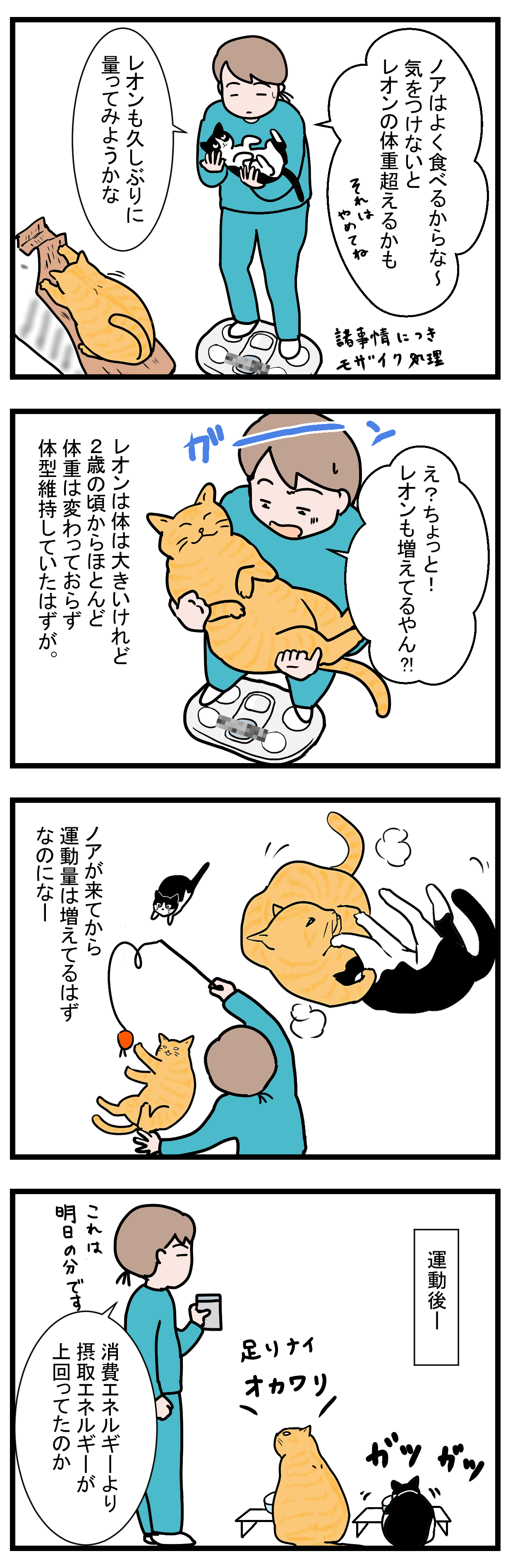 ノアレオン41-2