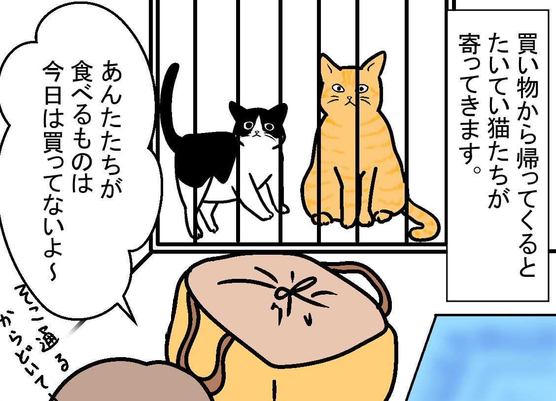 ノアレオン45