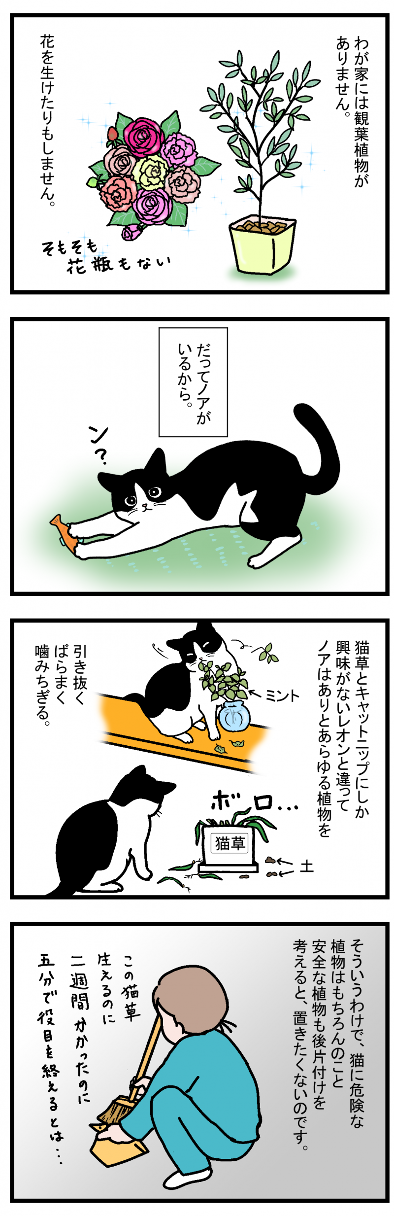 ノアレオン50-1