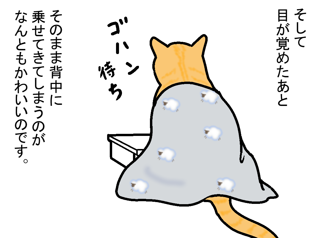ノアレオン53