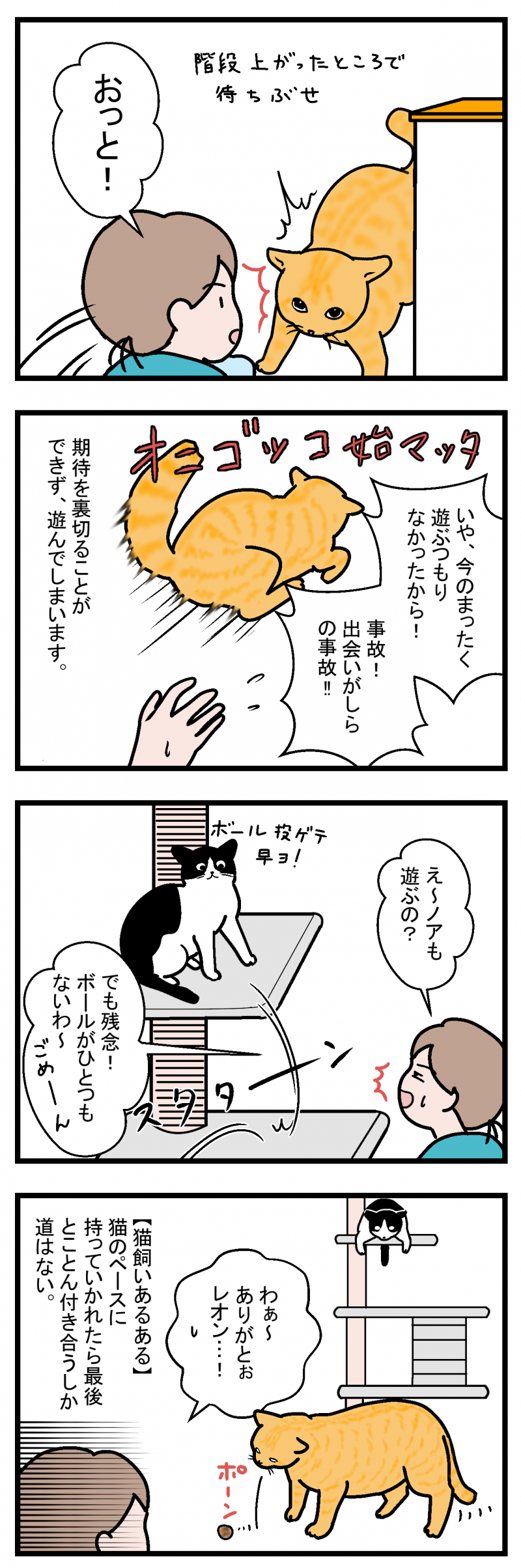 ノアレオン52-2