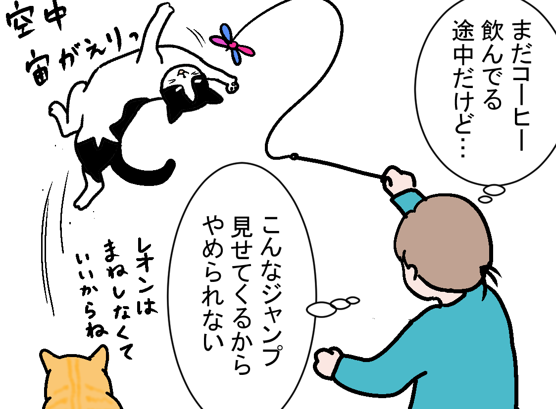 ノアレオン52