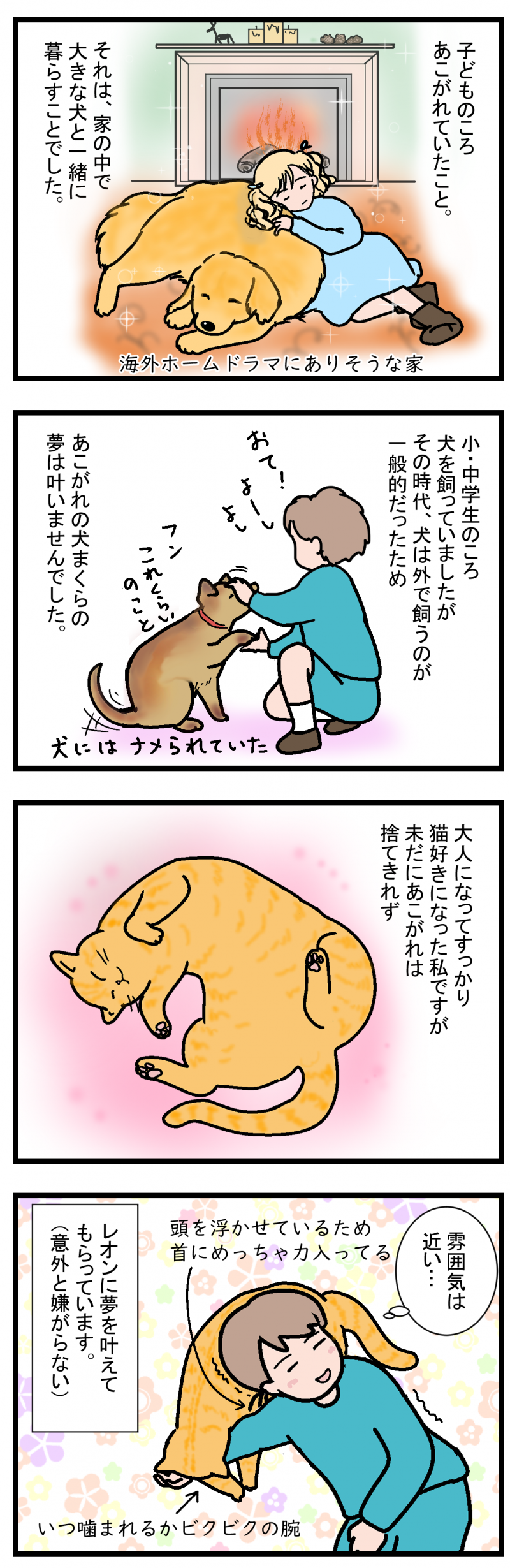ノアレオン55-1