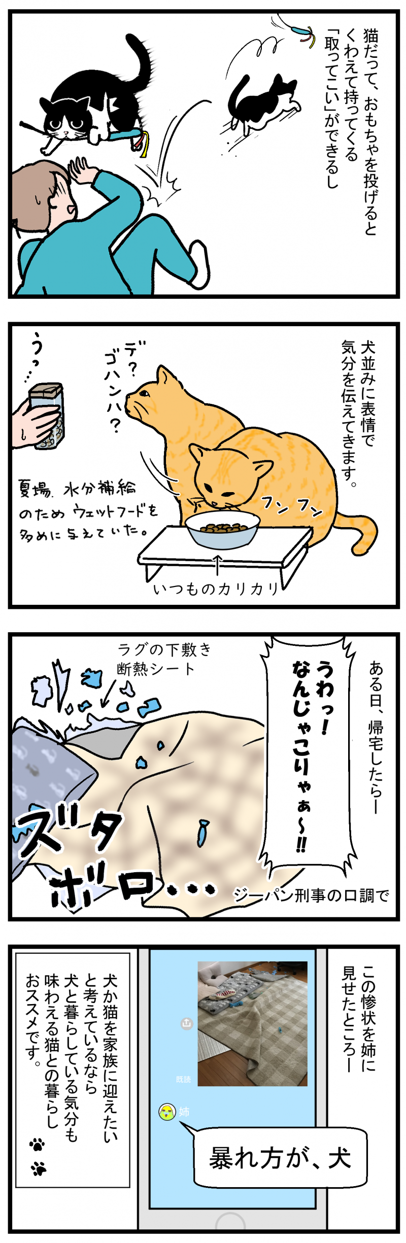 ノアレオン55-2