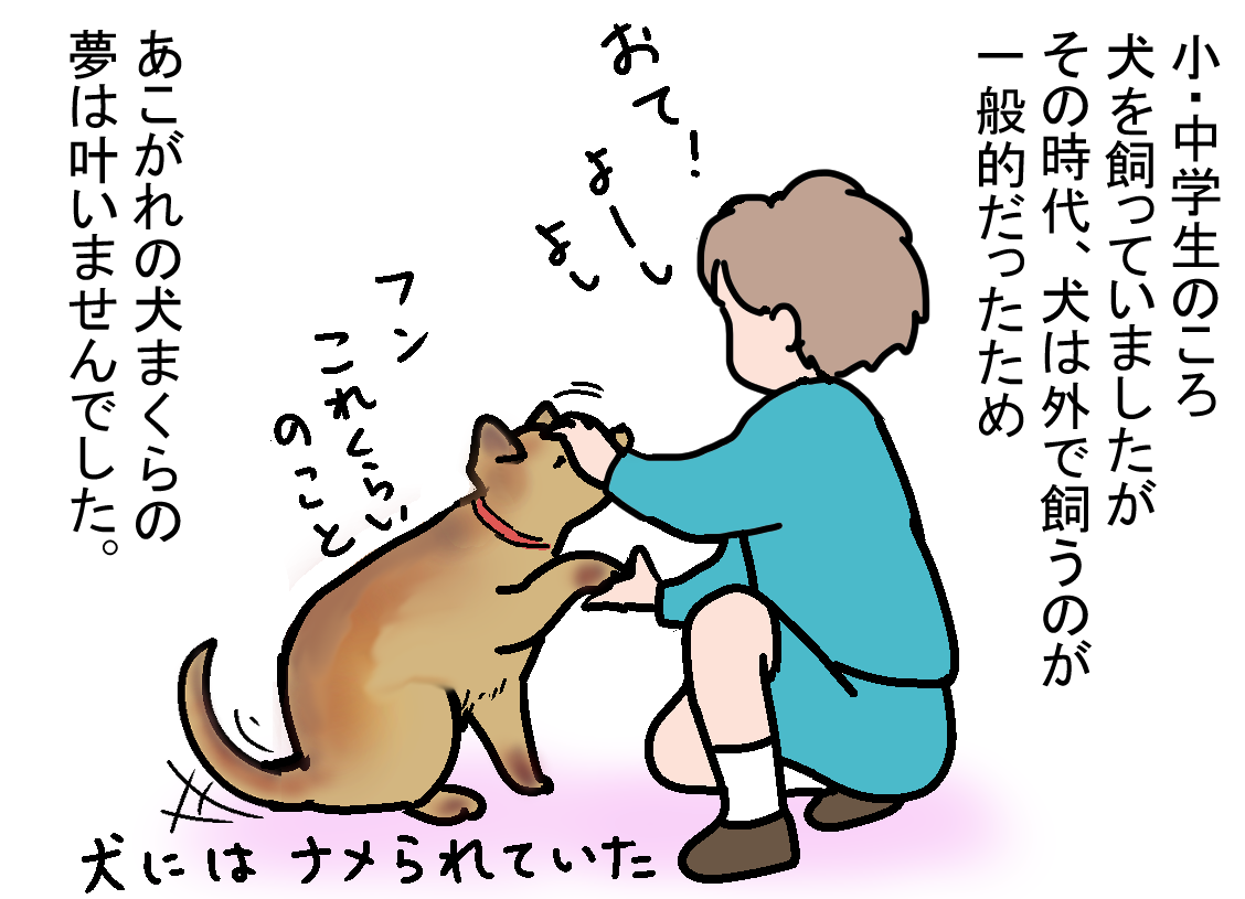 ノアレオン55