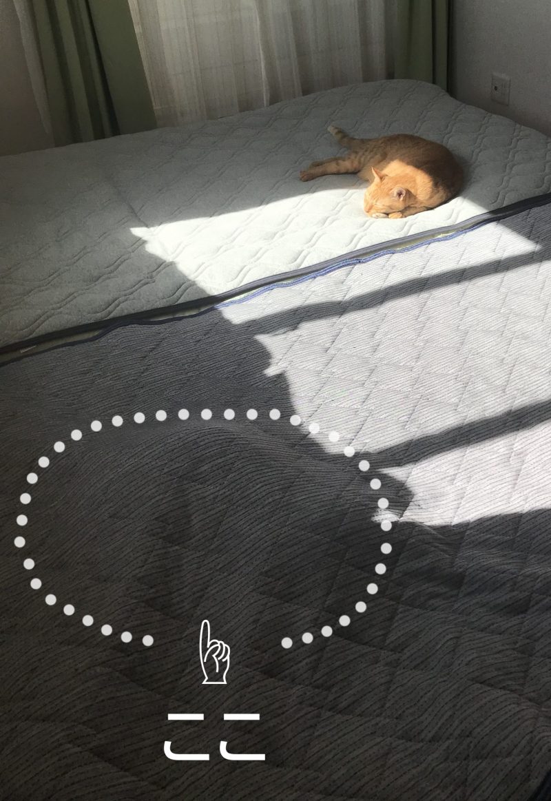レオンの特技
