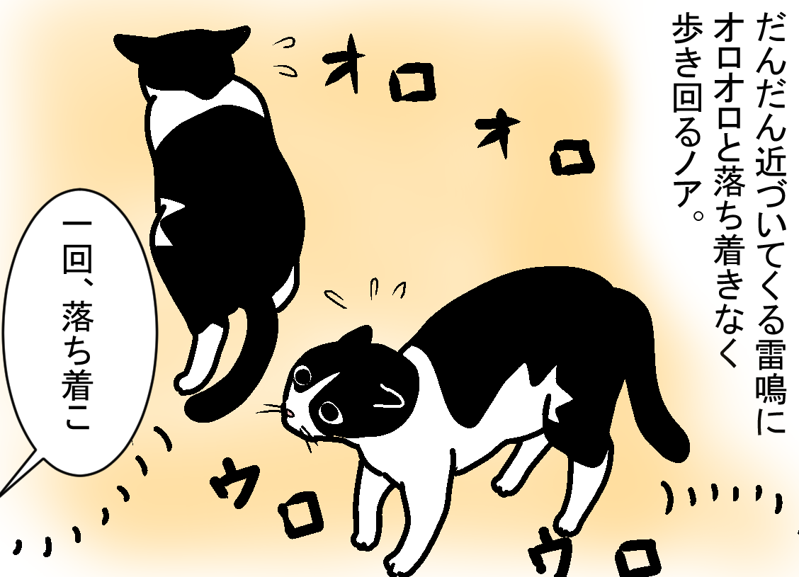 ノアレオン49
