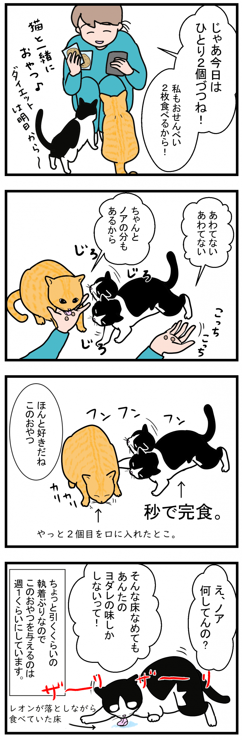 ノアレオン62-2