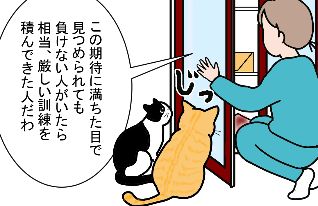 ノアレオン62