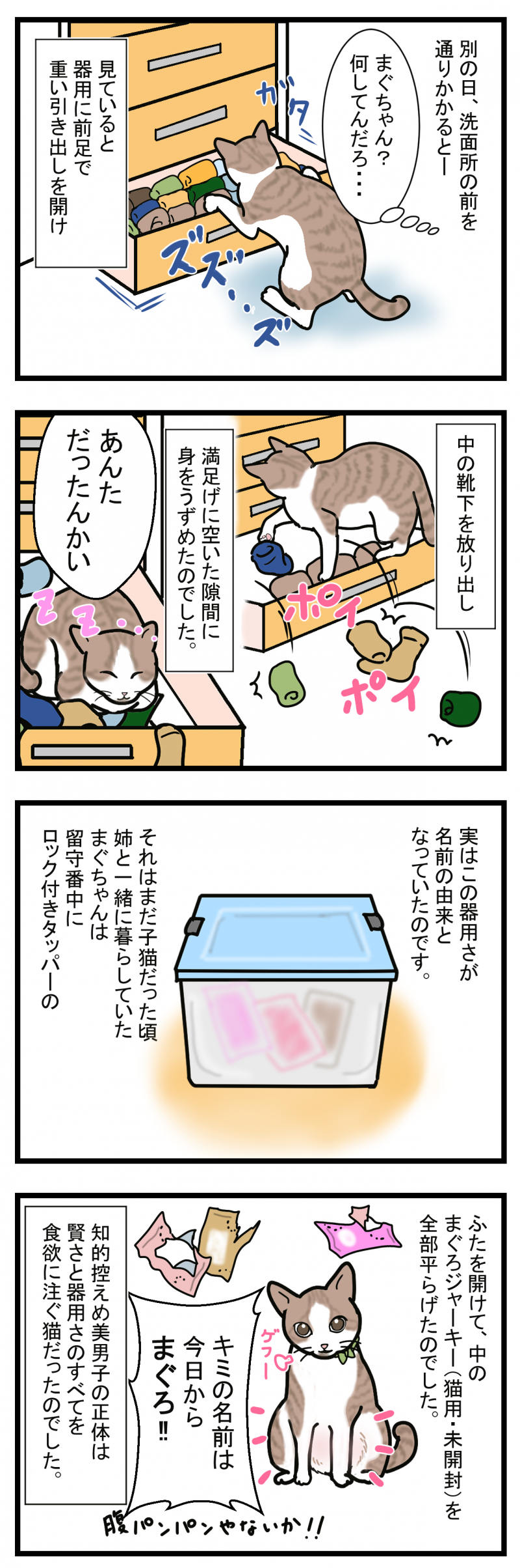 ノアレオン58-2