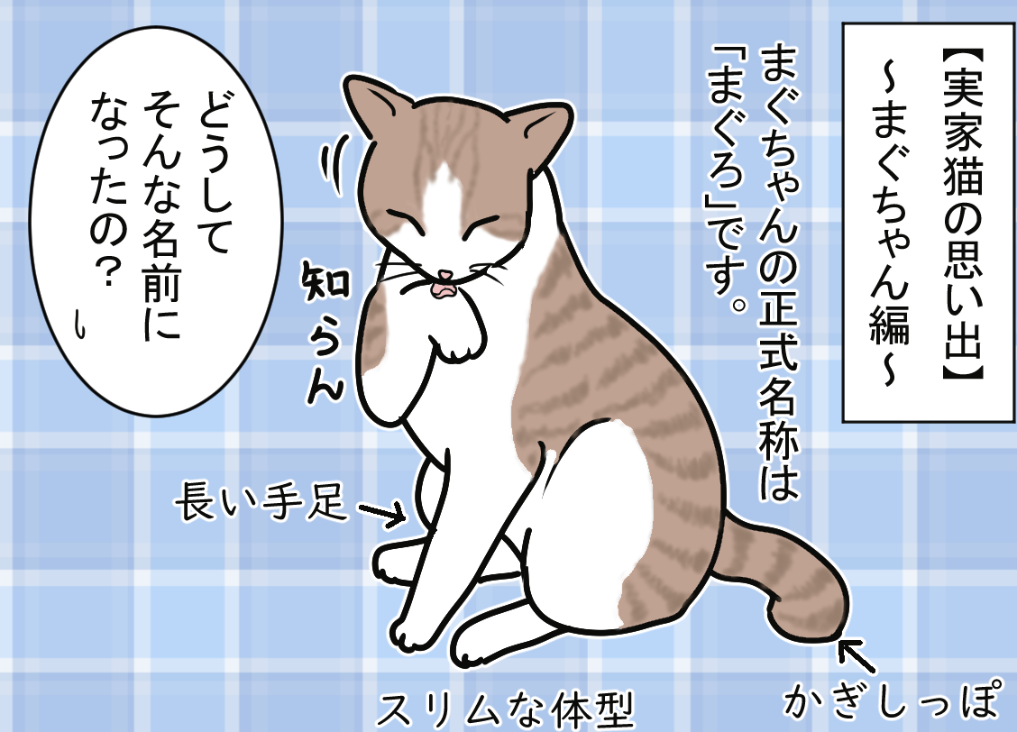 ノアレオン58