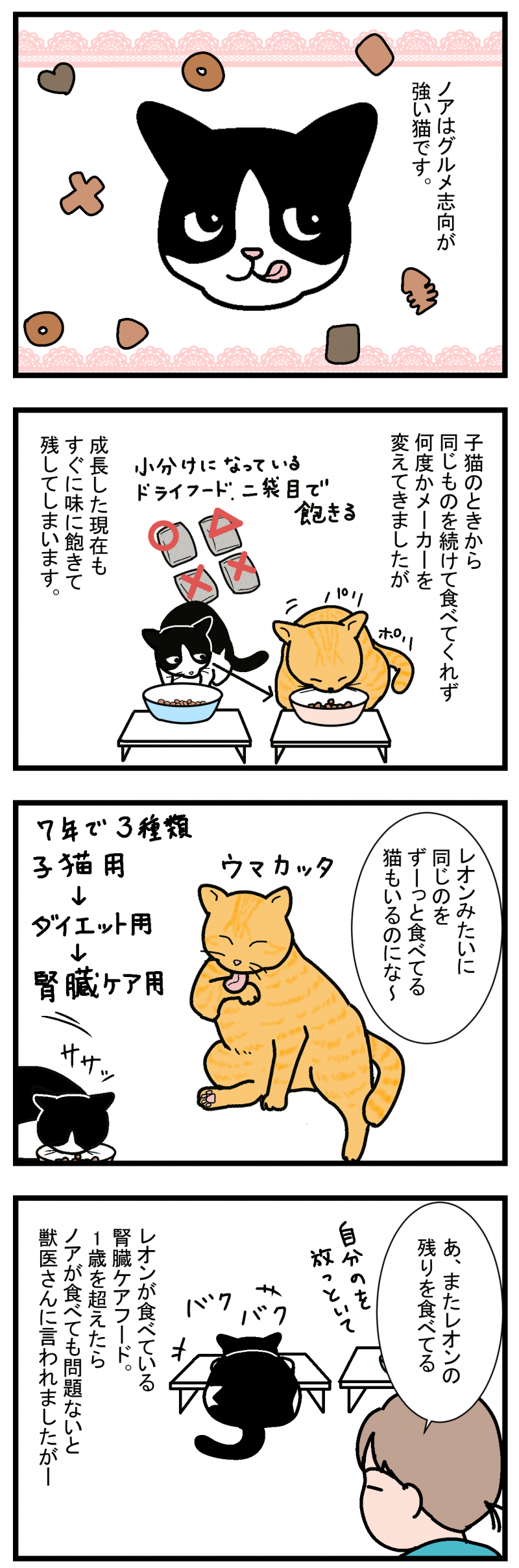 ノアレオン61-1