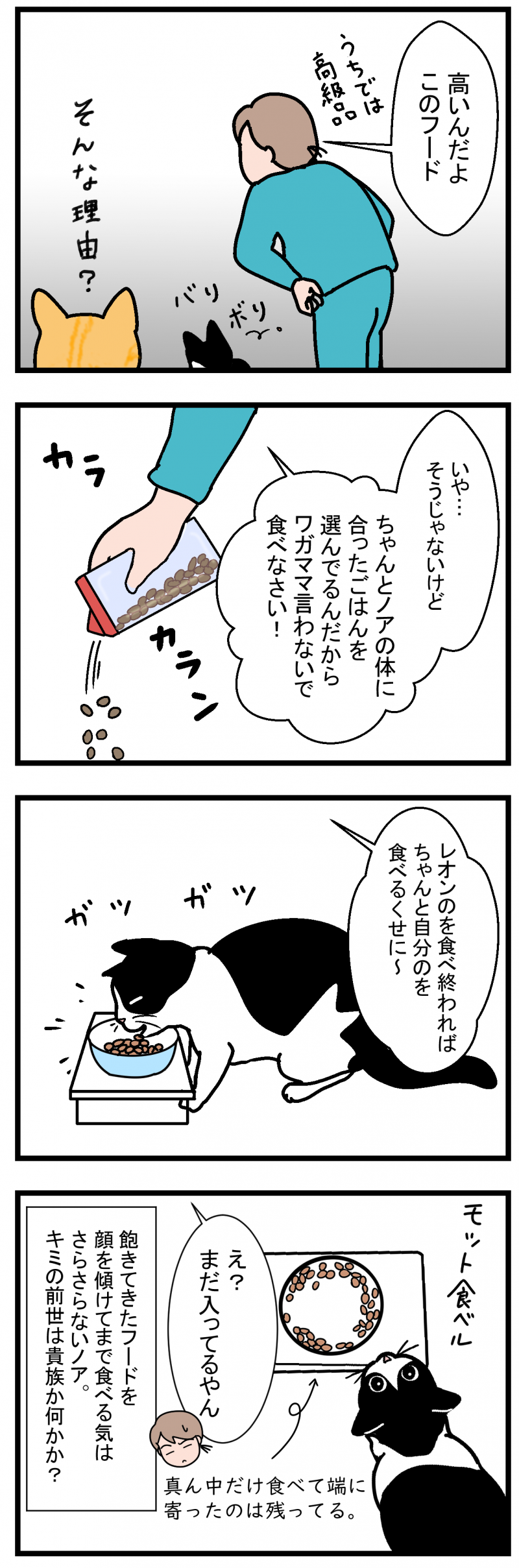 ノアレオン61-2