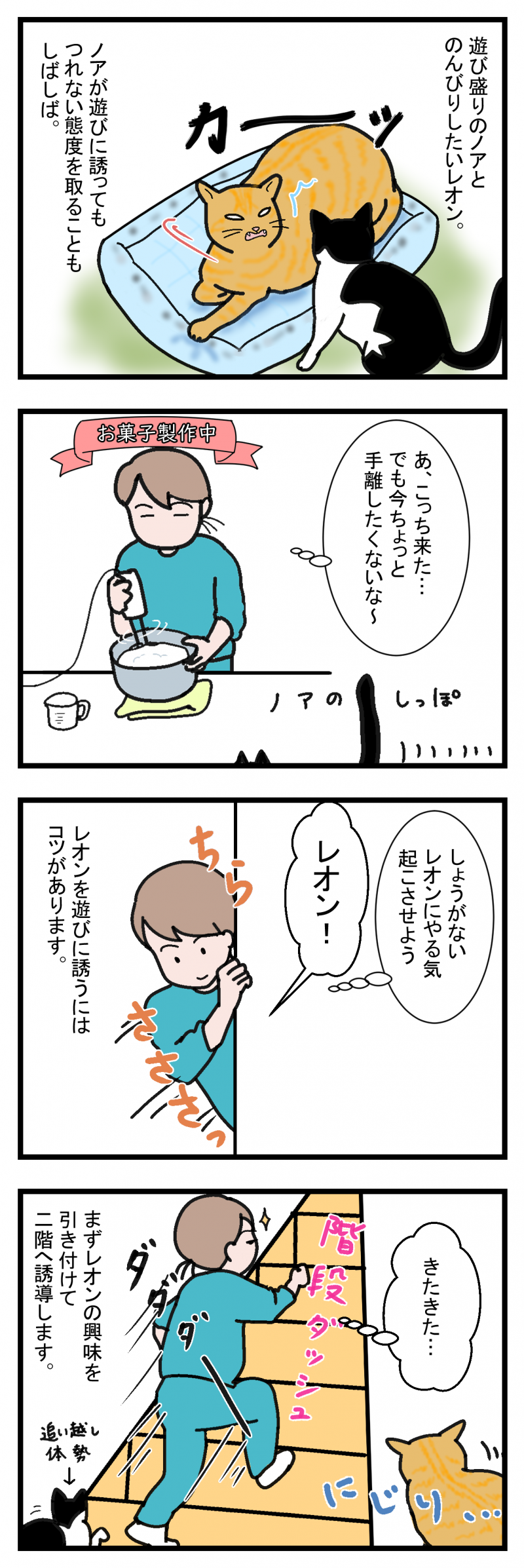 ノアレオン57-1