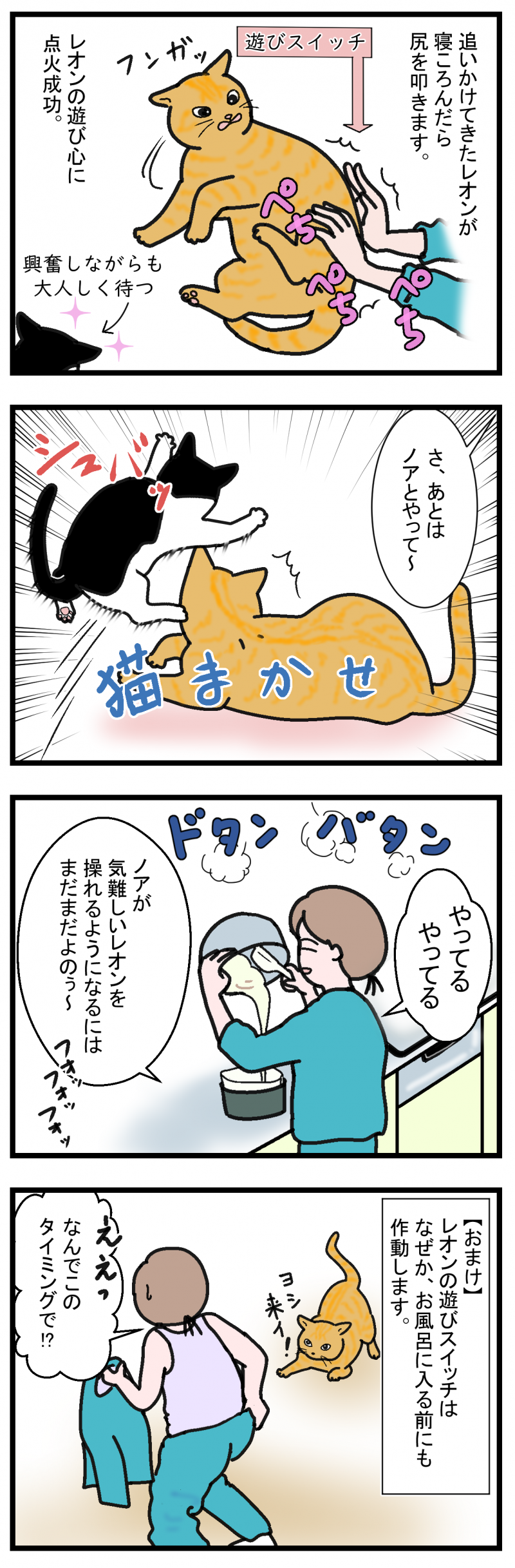 ノアレオン57-2
