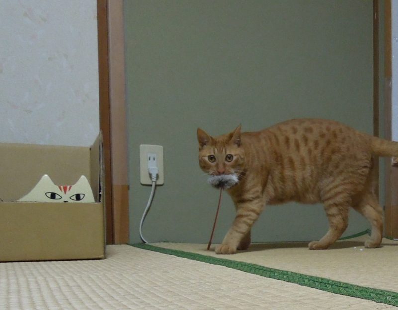 運び屋レオン(昔)