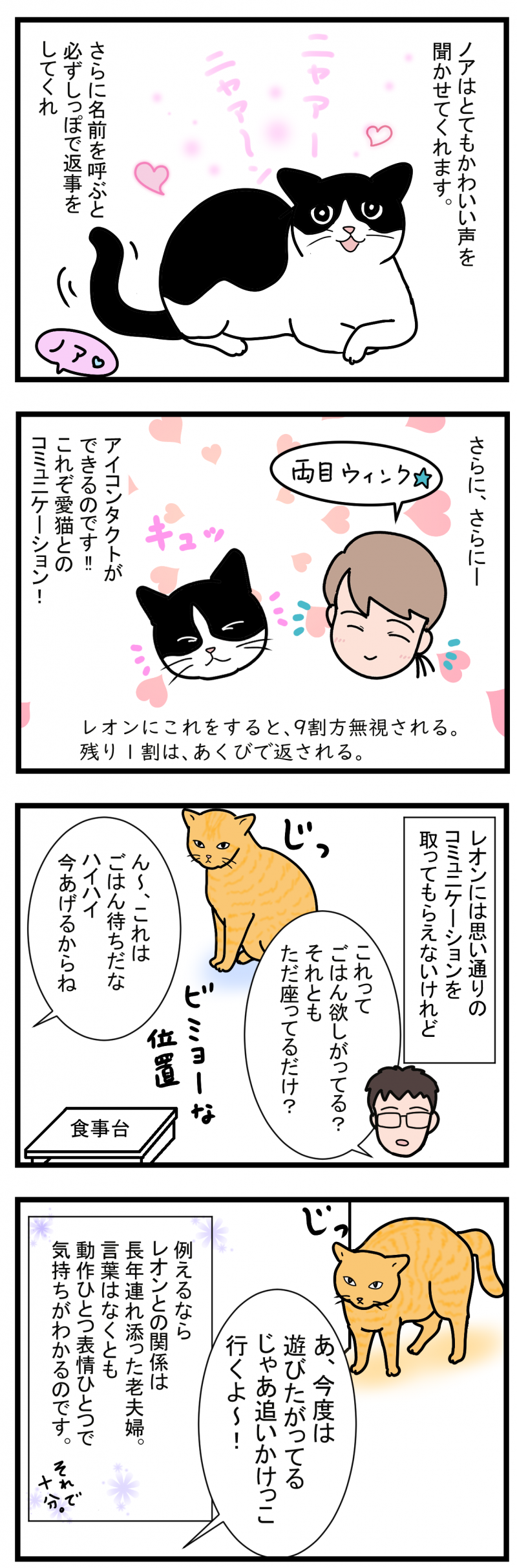 ノアレオン64-2