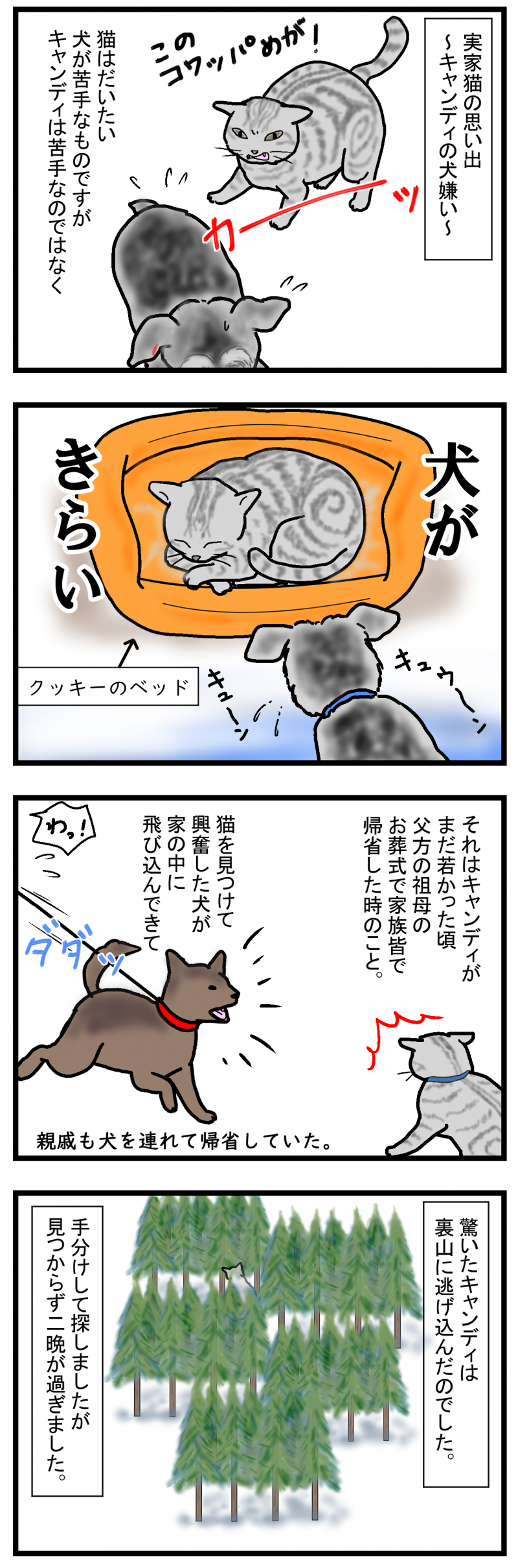 ノアレオン69-1