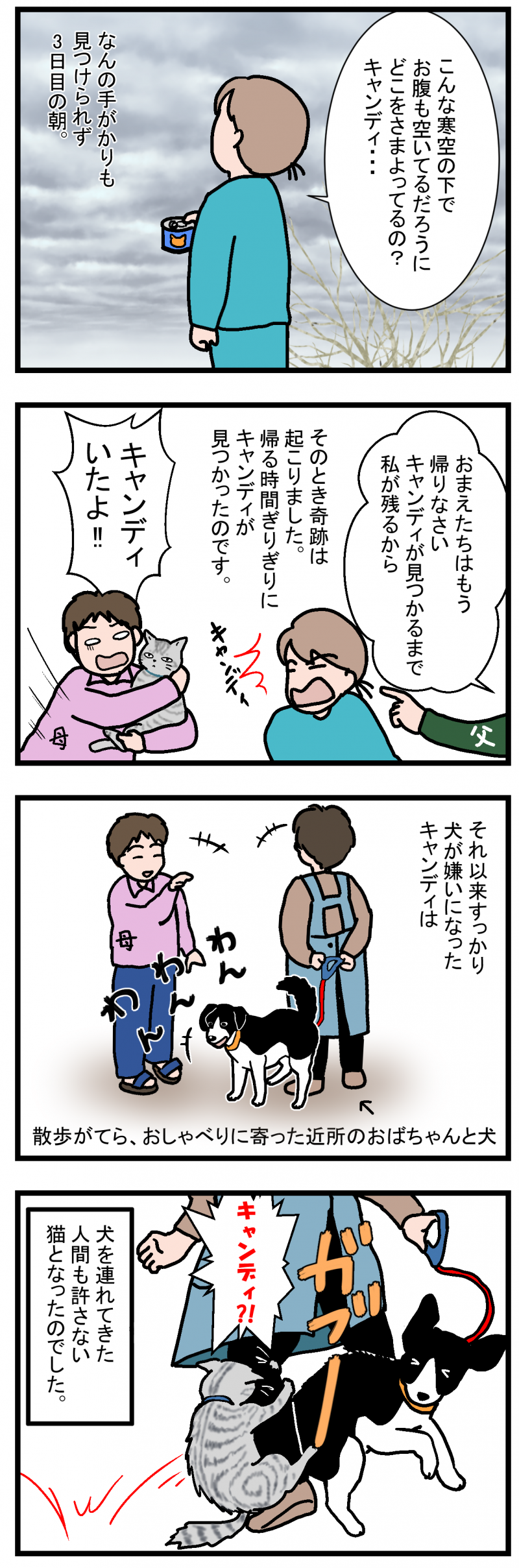 ノアレオン69-2
