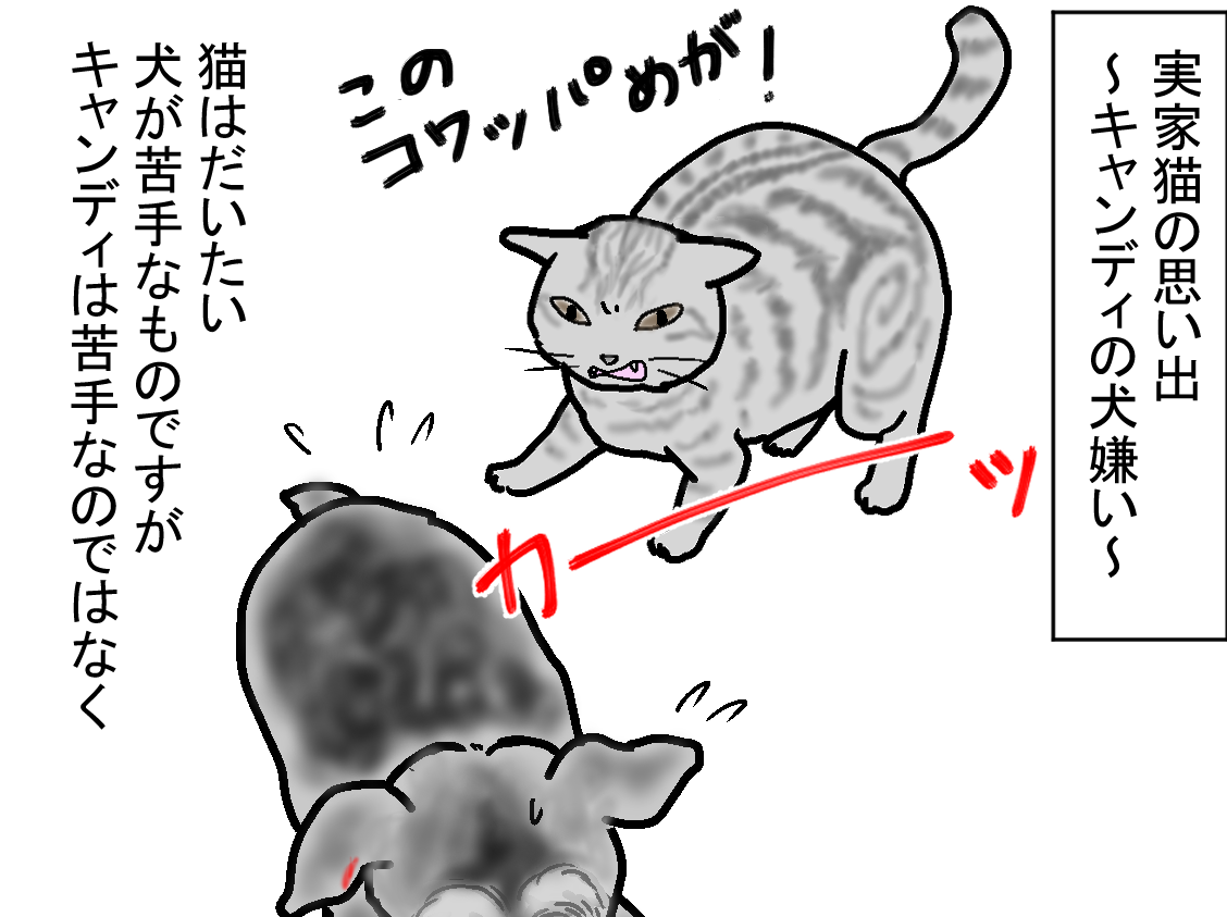 ノアレオン69
