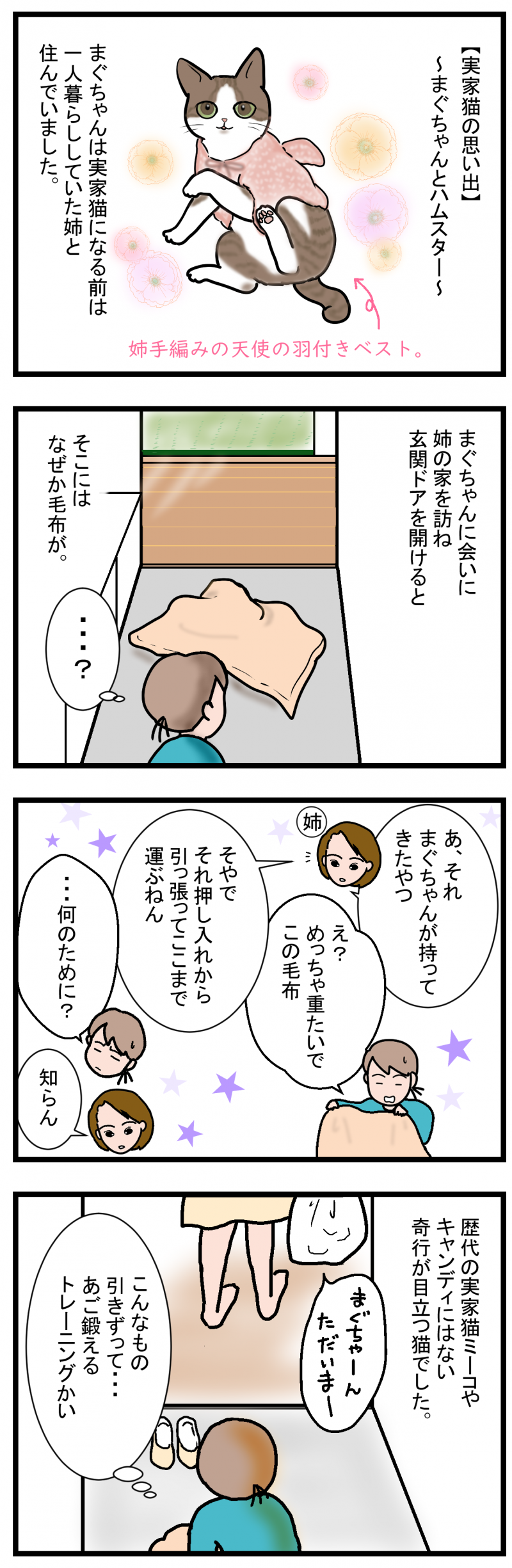 ノアレオン65-1