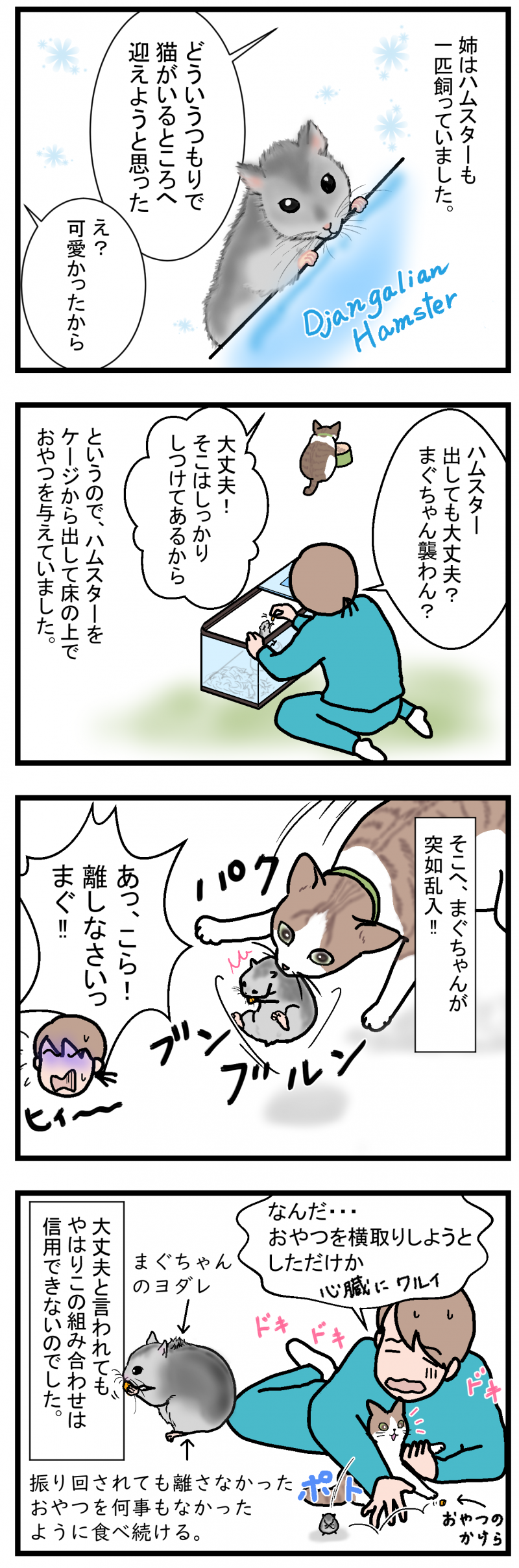 ノアレオン65-2