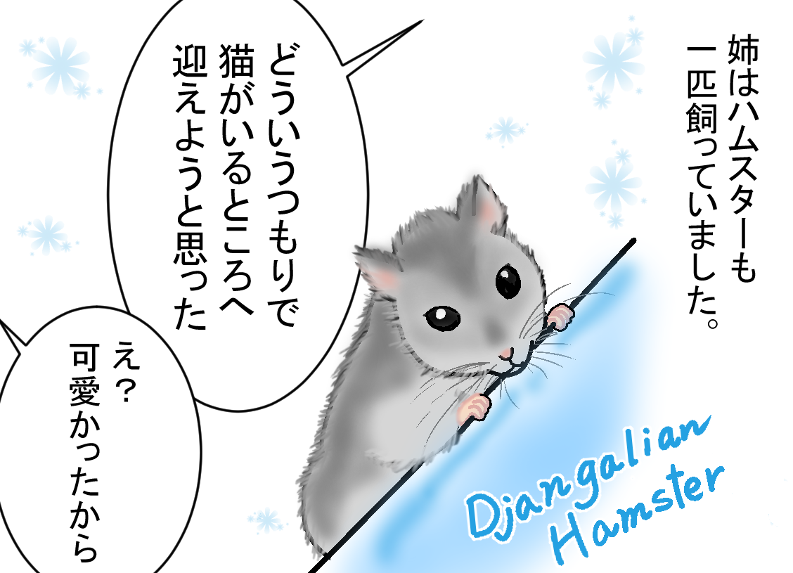 ノアレオン65