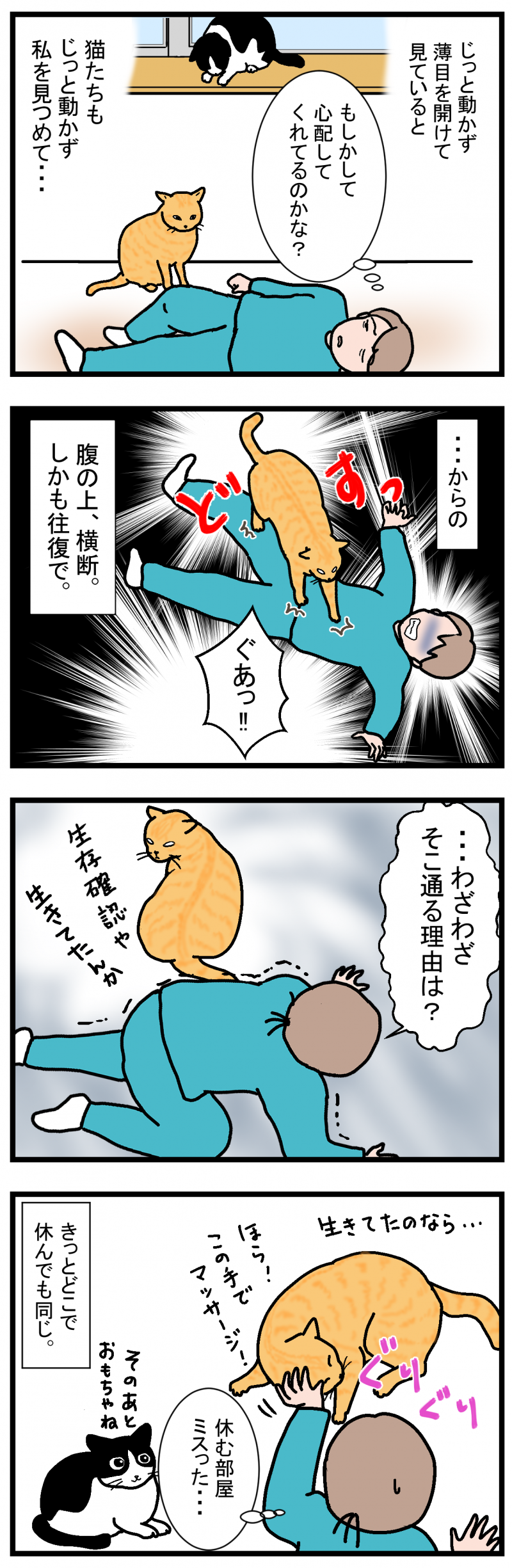 ノアレオン70-2