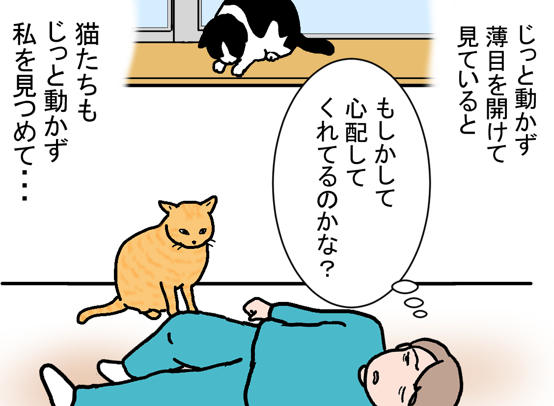 ノアレオン70