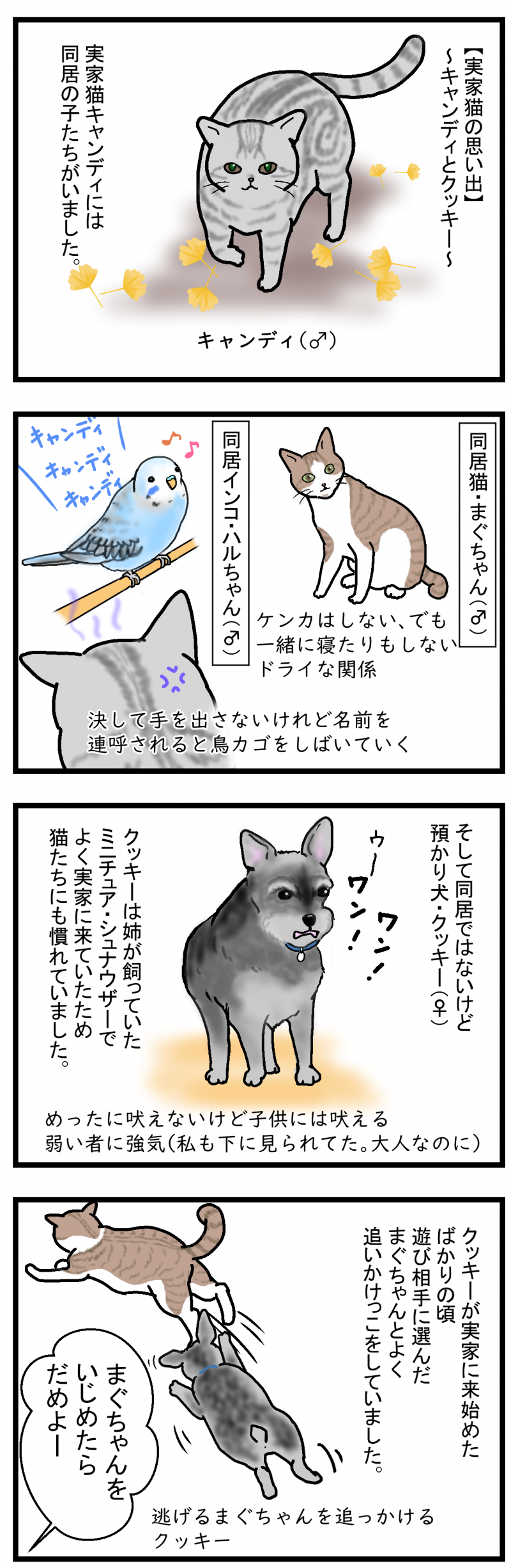 ノアレオン68-1