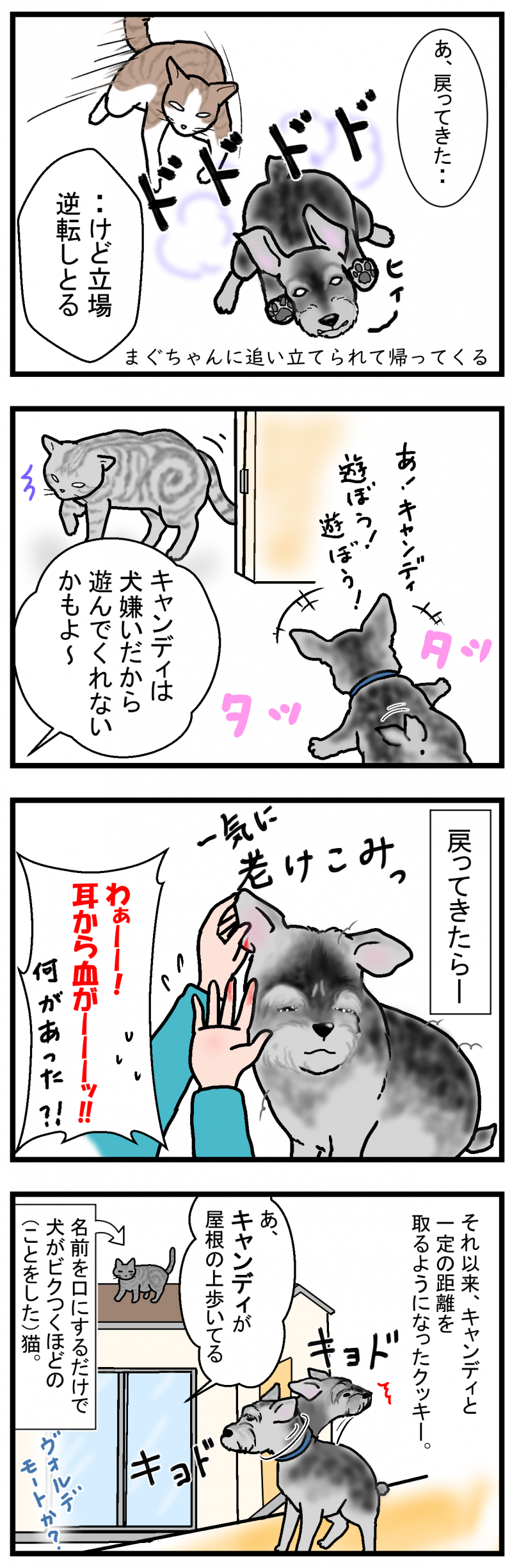ノアレオン68-2