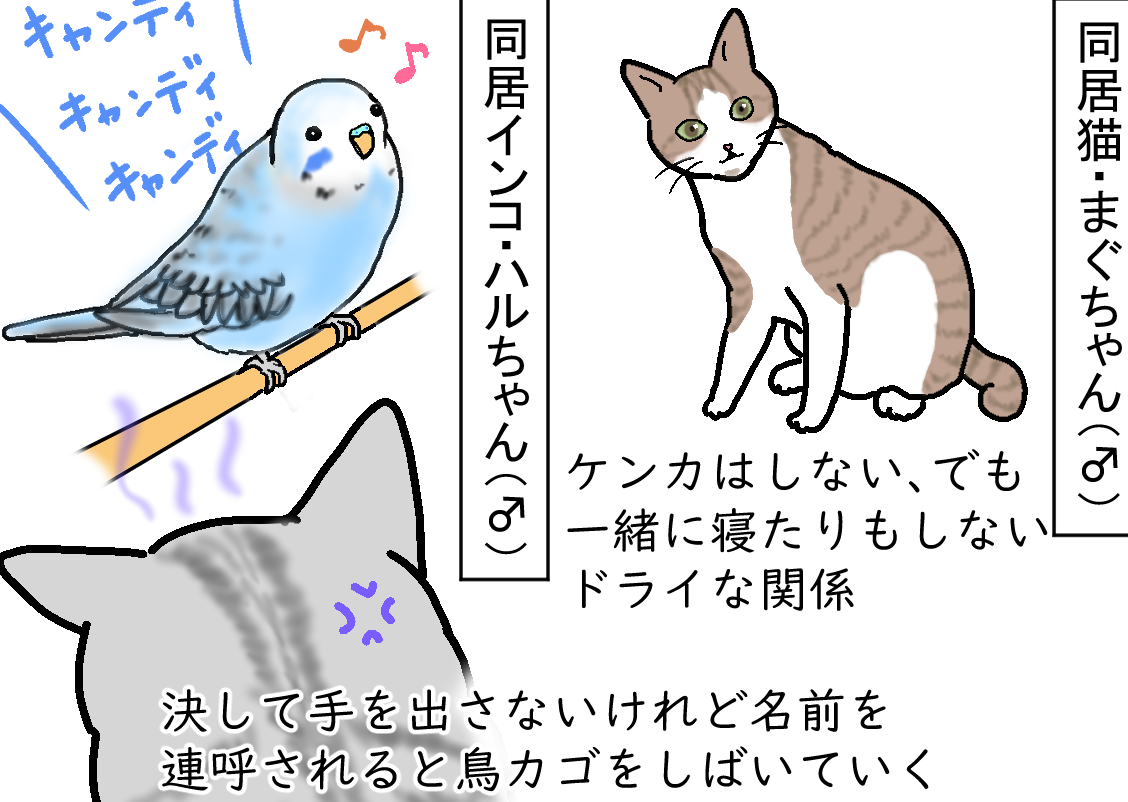 ノアレオン68