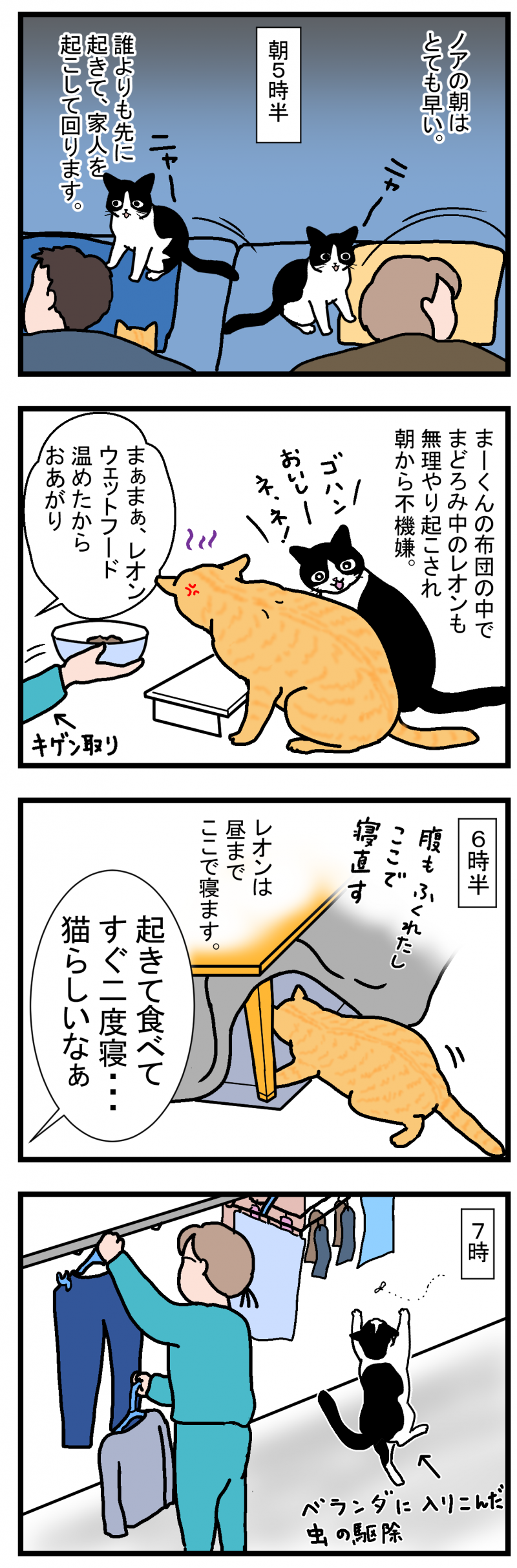 ノアレオン71-1