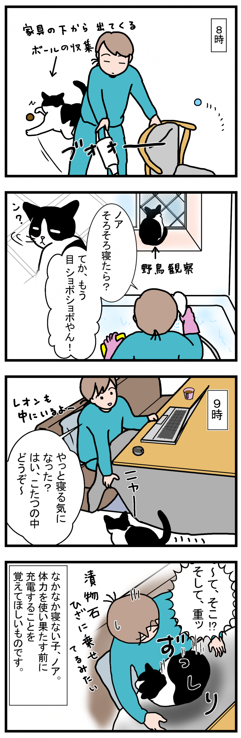 ノアレオン71-2
