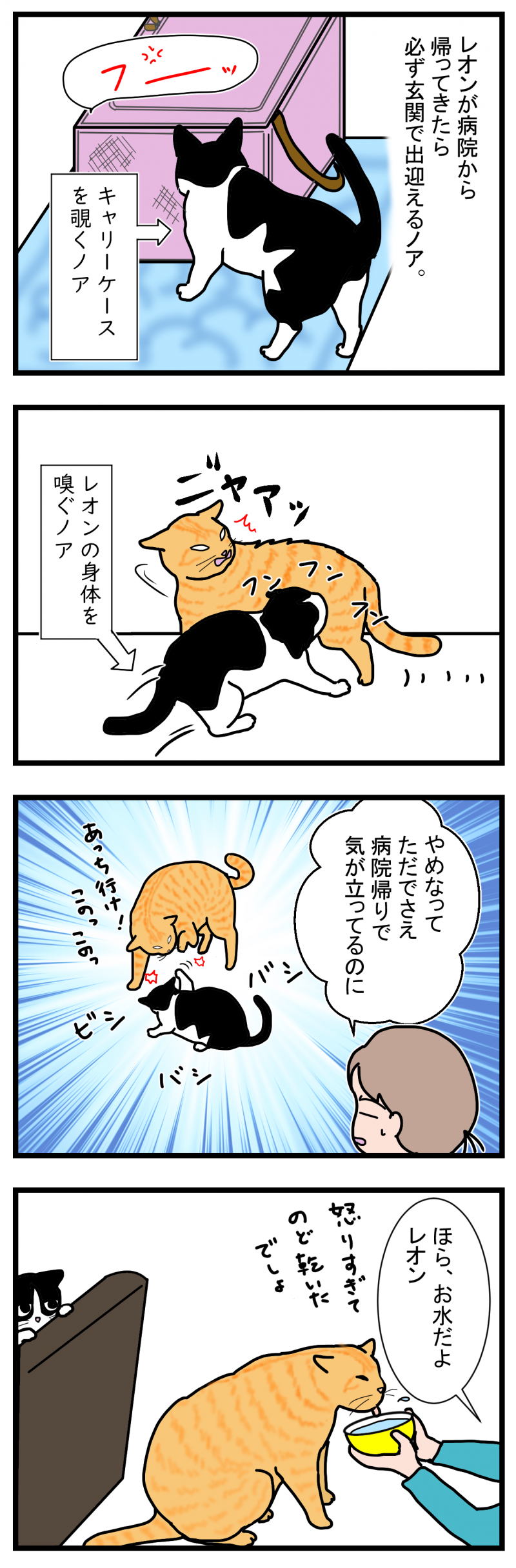 ノアレオン76-1