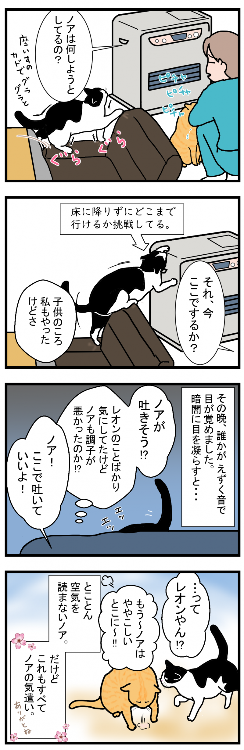 ノアレオン76-2
