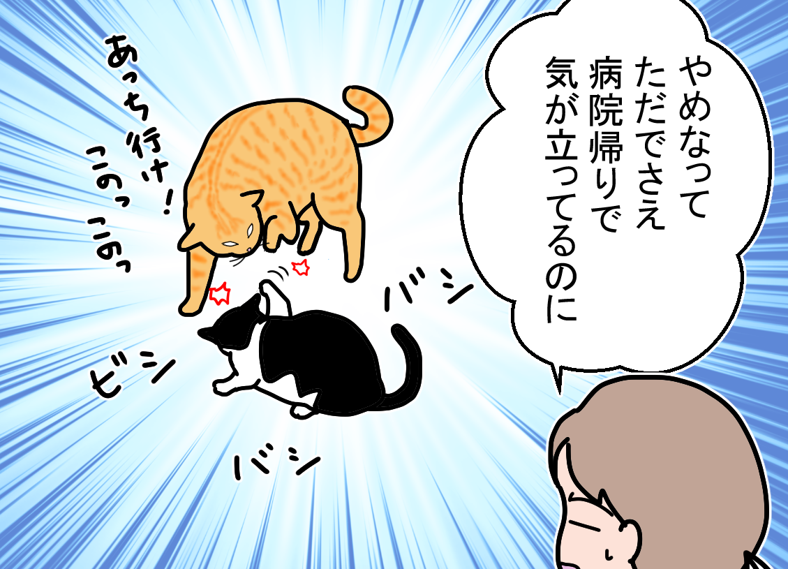 ノアレオン76