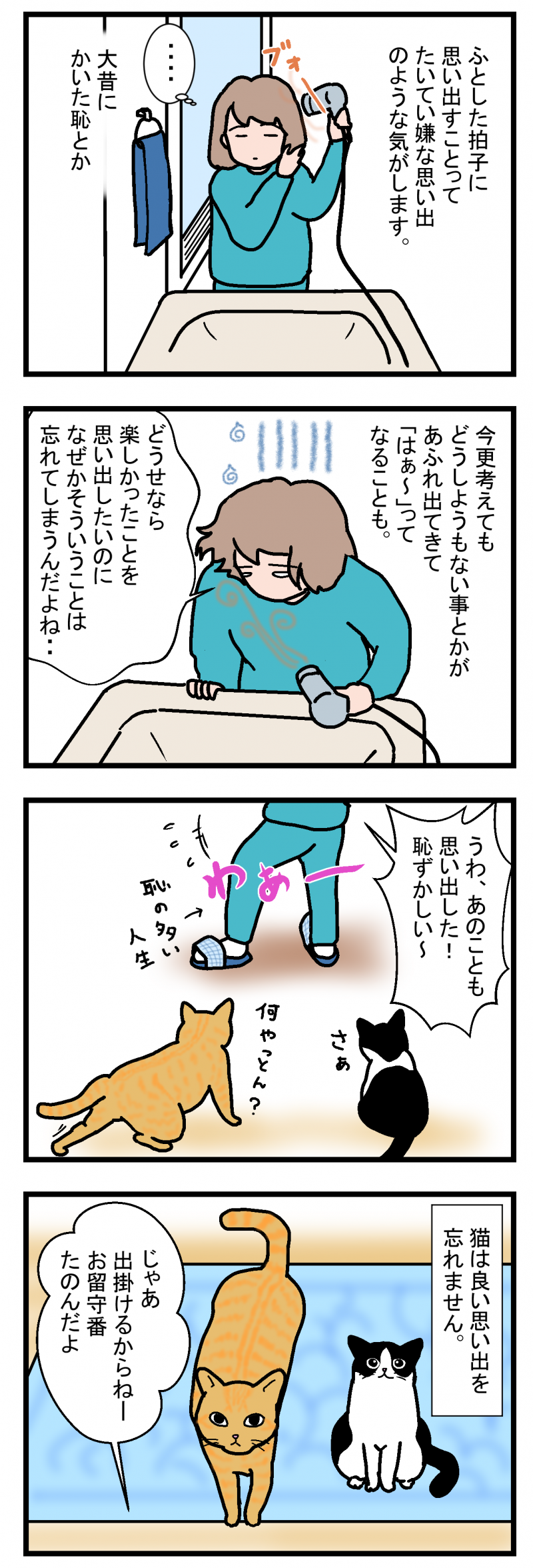 ノアレオン72-1