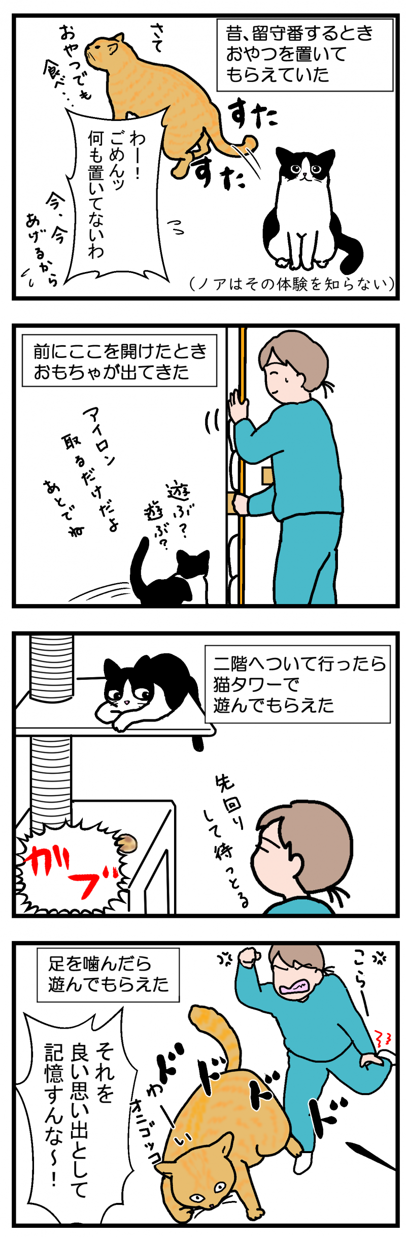 ノアレオン72-2