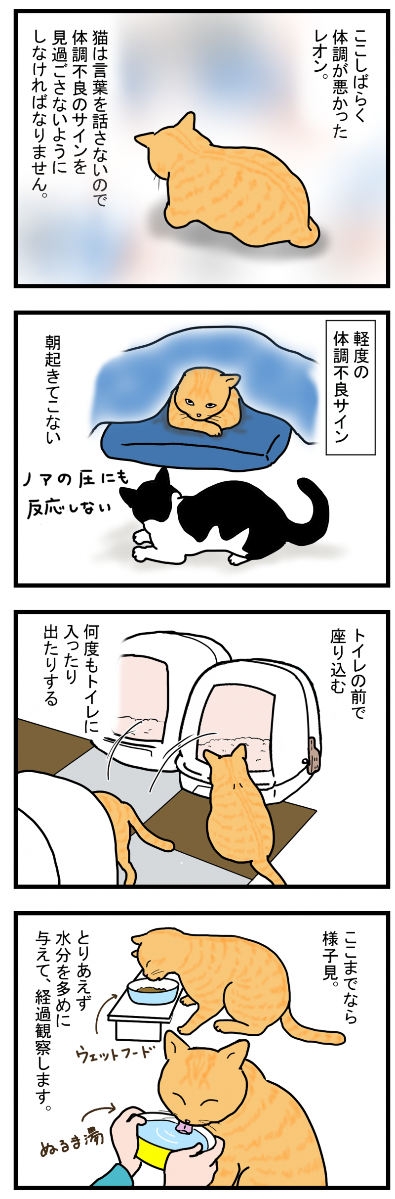 ノアレオン77-1