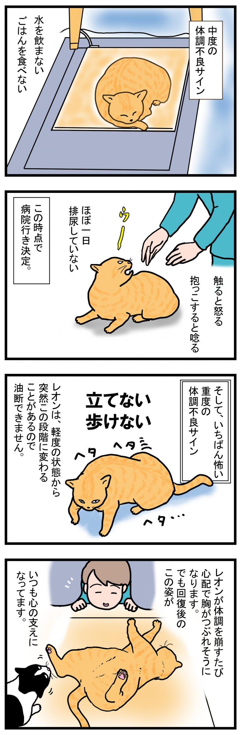 ノアレオン77-2