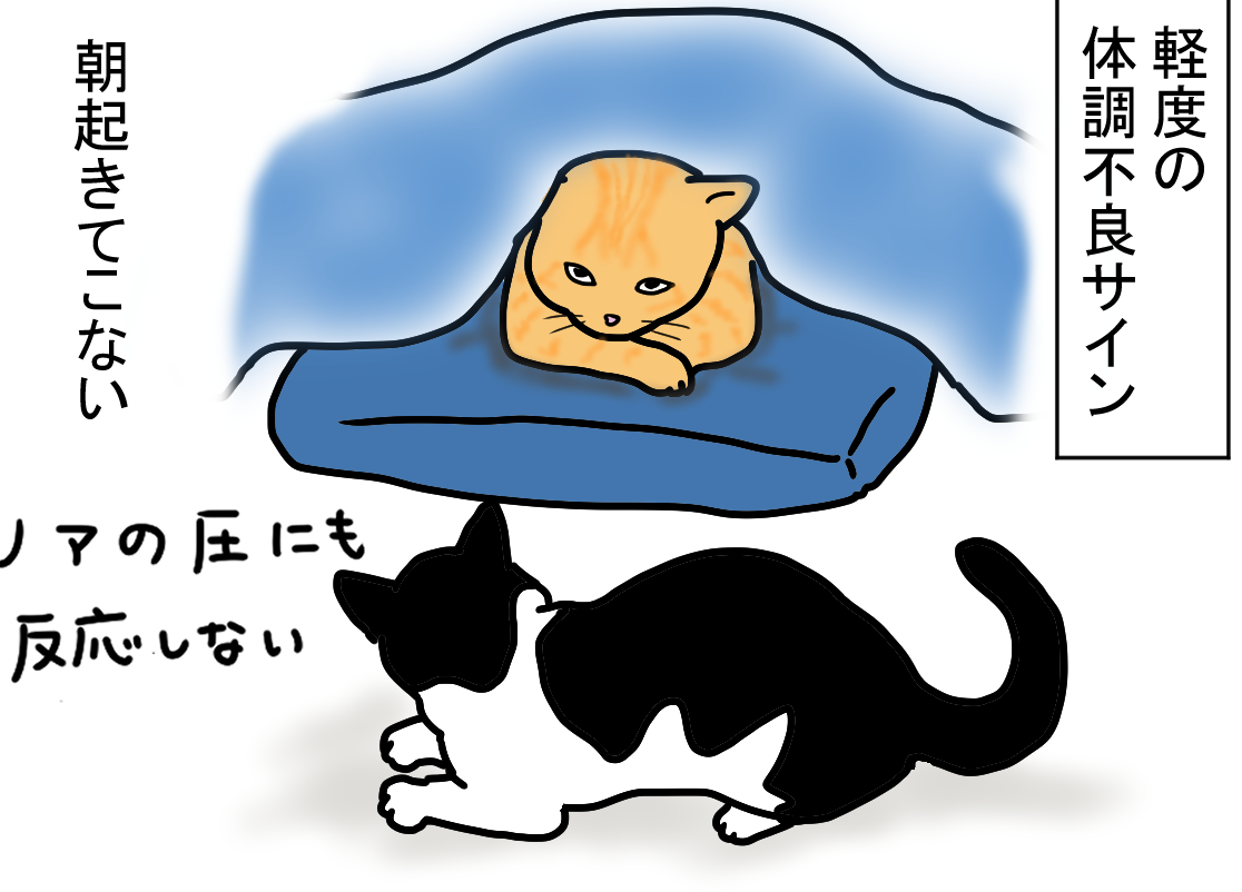 ノアレオン77