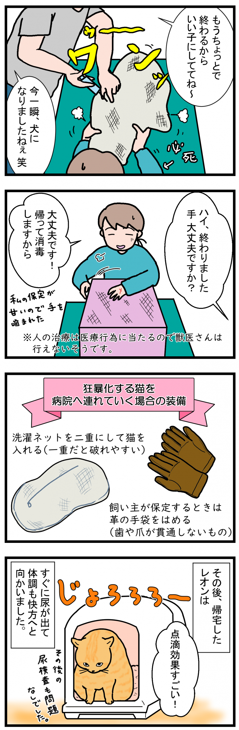 ノアレオン75-2