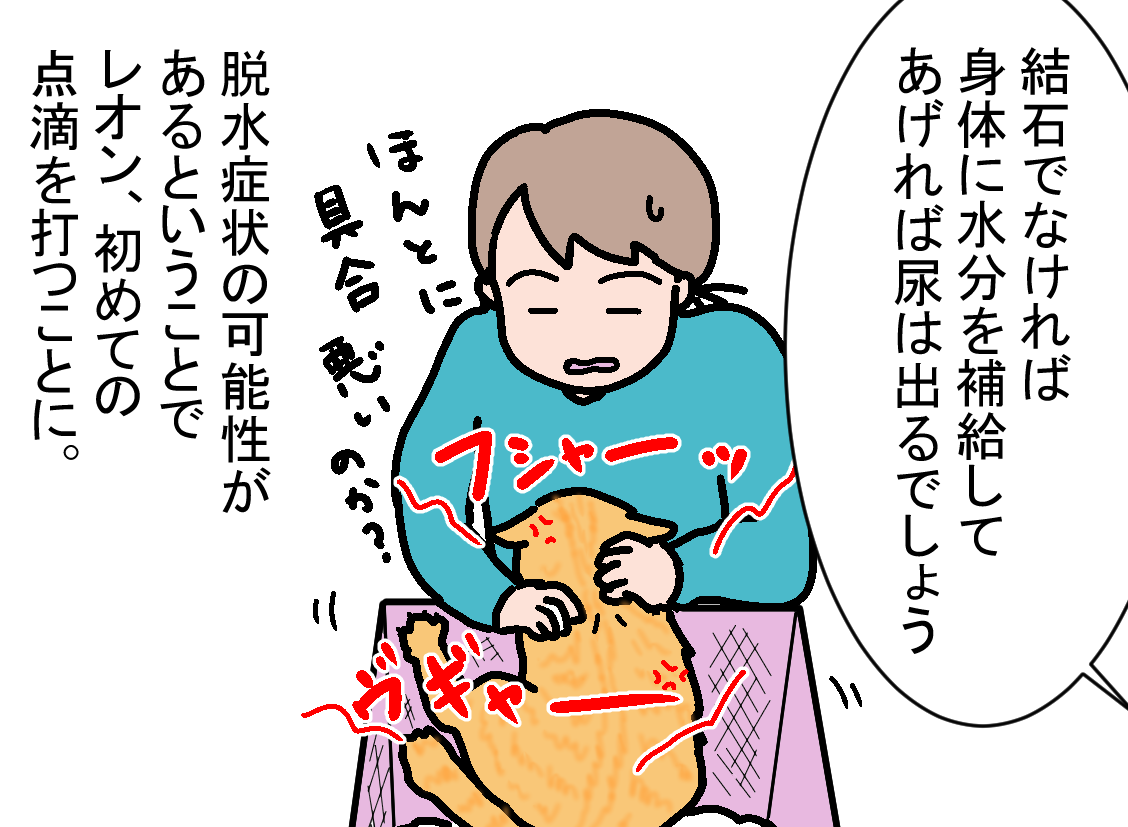 ノアレオン75