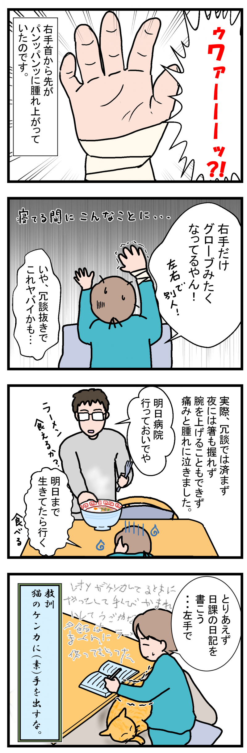 ノアレオン81-2