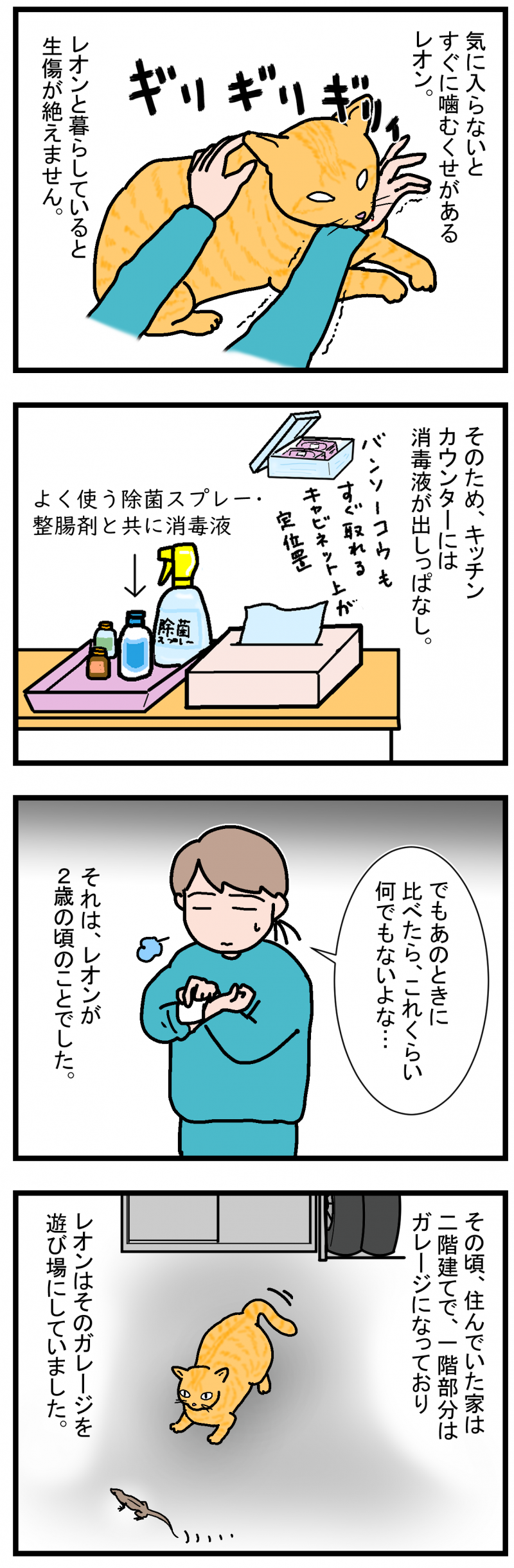 ノアレオン80-1