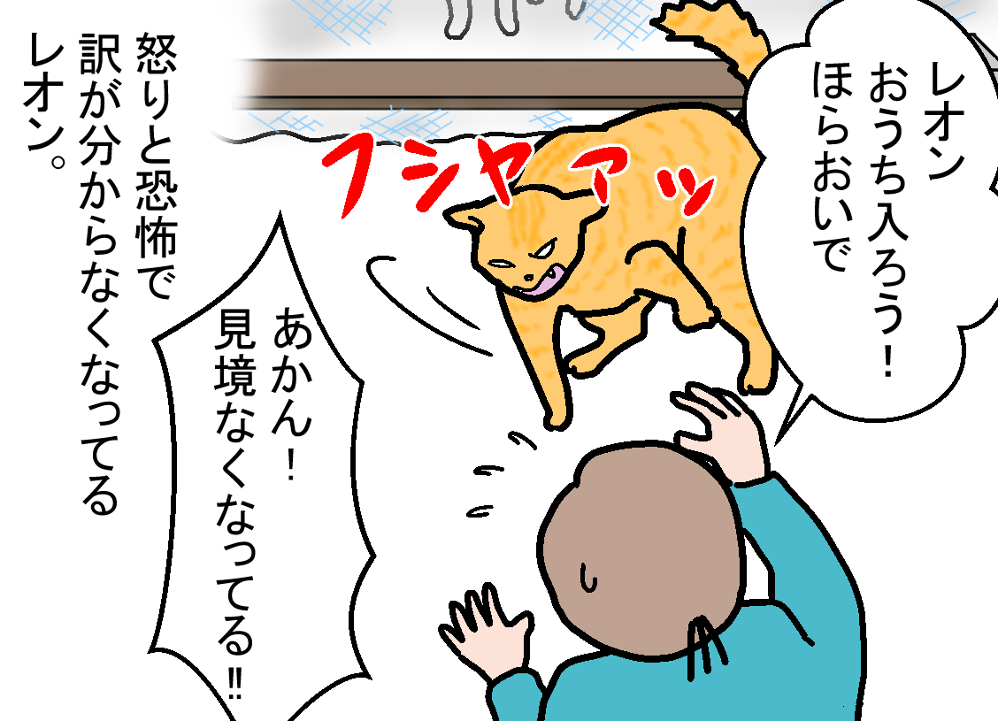 ノアレオン80