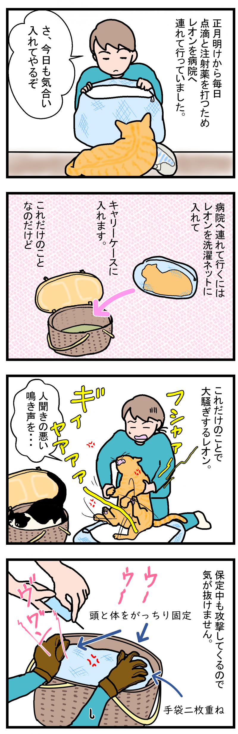 ノアレオン82-1