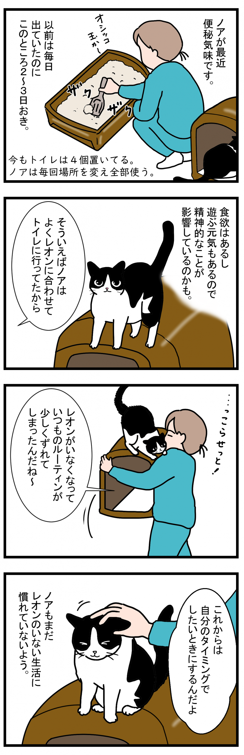 ノアレオン90-1